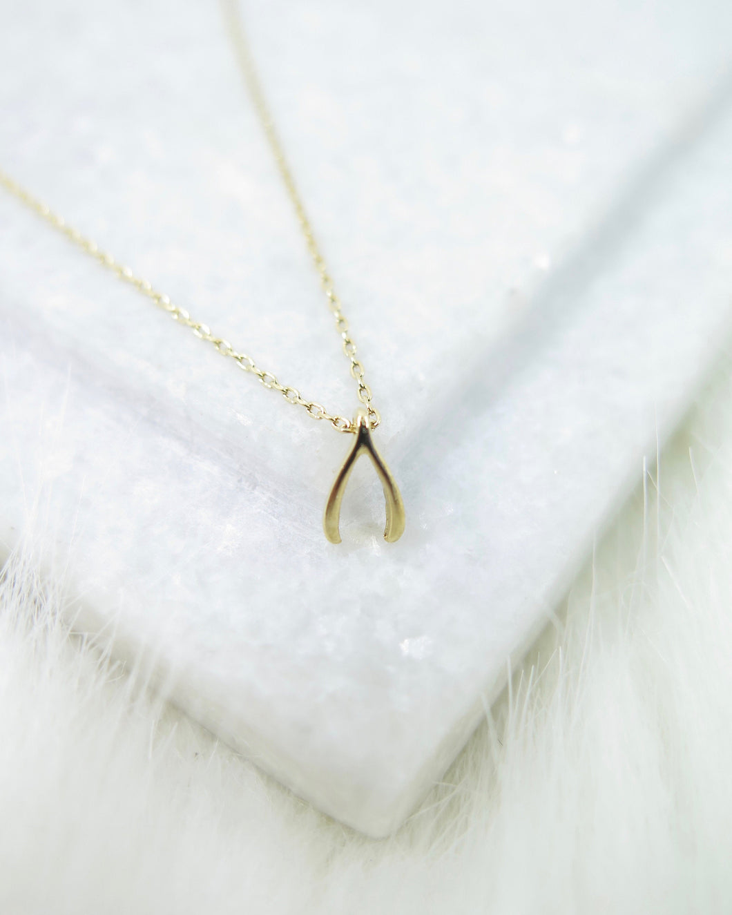Gold Plated Tiny Wishbone Necklace