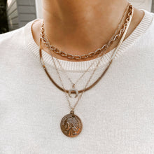 Load image into Gallery viewer, Coin Medallion Necklace
